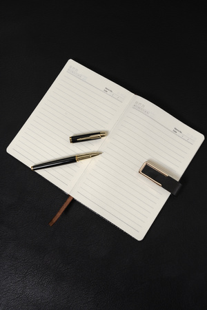 Gift set: a black pen and a notebook A5 in an eco-leather cover Peterson PTN 222-NOT Black-Gold